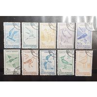 Румыния. 1991 год. Фауна. Птицы (1314)