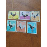 Куба серия марок полная 1981 г. Петухи бойцовые.