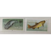 РАСПРОДАЖА КОЛЛЕКЦИИ. ГДР. марки "рыбы"