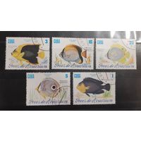 Куба. 1985 год. Фауна. Рыбы (22)