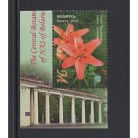 Флора цветы Беларусь 2014 Центральный ботанический сад "Лилия"Зоренька"