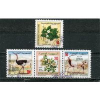 Тунис. Фауна и флора