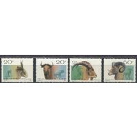 Китай  1991- Сибирские дикие козлы козёл парнокопытные животные фауна ** MNH