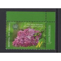 Флора кусты Беларусь 2015 "Центральный ботанический сад."Сирень"Вера Хоружая"