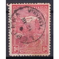 36.Aust. Великобритания. Австралийские штаты. Тасмания. Гора Веллингтон. 1905 г. 1d. Mi.#76C.