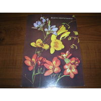 Цветы Композиция Всего наилучшего Польша чистая