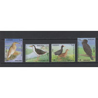 Фауна Птицы Бангладеш 2000**