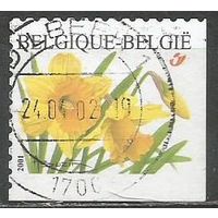 Бельгия. Цветы. Нарциссы. 2001г. Mi#3095.