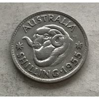Австралия 1 шиллинг 1955 Елизавета II - серебро 0,500