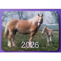 Лошади. Календарик, глянец, 2026. Траско