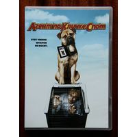 Агент по кличке Спот DVD