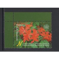 Флора кусты Беларусь 2015 "Центральный ботанический сад."Рододендрон Академик Смольский"