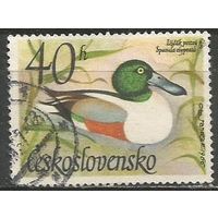 Чехословакия. Утка широконоска. 1967г. Mi#1682.