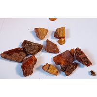 Янтарь времён СССР + Бонус. Все лоты с 1 рубля!