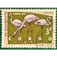 Конго. Фауна. Птицы. Розовый фламинго