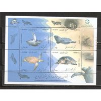 ФФ3 Иран 2009 Черепахи