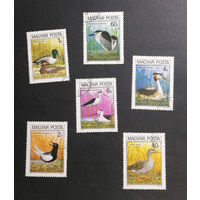 Венгрия 1980 г. Птицы. Фауна, полная серия из 6 марок #0239-Ф1P46