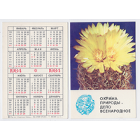 Календарь Охрана природы кактус 1984
