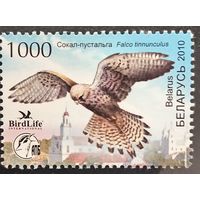 Беларусь 2010. Птицы года. Сокол-пустельга