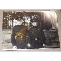 Фото в коллекцию