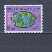 [1547] Ирак 1970. Флора.Плоды.Ягоды.Фрукты.Виноград на почтовых марках. MNH