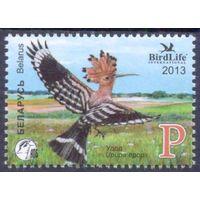 Беларусь 2013 фауна птицы