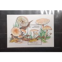 Гренада. 1994 год. Флора. Грибы. Блок (1000)