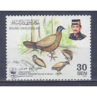 [106] Бруней 2001. Фауна.Птицы.Фазан (самка). Гашеная марка.