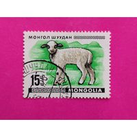 Монголия. Фауна. ( 1 марка ) 1968 года. 8-5