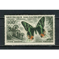 Автономная Малагасийская Республика под французским протекторатом - 1960 - Бабочка 100Fr - [Mi.458] - 1 марка. MH.  (Лот 39HV)-TG3P24
