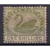 153.Aust. Великобритания. Австралийские штаты. Западная Австралия. Чёрный лебедь. Стандарт. 1890/93 гг. 1 Sh. Mi.#40.