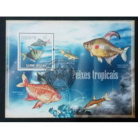 ФАУНА РЫБЫ МОРСКИЕ ОБИТАТЕЛИ    БЛОК  сто