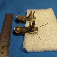 Прищепки для елочных игрушек ссср крупные. Культигрушка