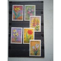 Флора узбекистан