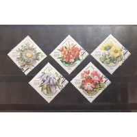 СССР. 1981 год. Флора. Цветы (248)