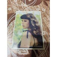 Календарик,артисты,Шариковая,1983