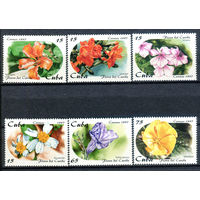 Куба - 1997г. - Флора Карибского бассейна - полная серия, MNH [Mi 4053-4058] - 6 марок
