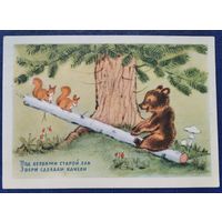 Ушакова Н. "Под ветвями старой ели.." 1954 г. Чистая