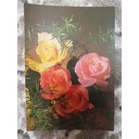 Открытка СССР чистая