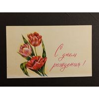 Цветы Беларусь Маленький формат