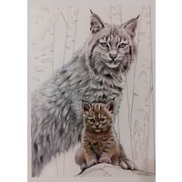 Рысь и рысенок. Открытка