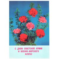 Почтовая карточка СССР 1980, подписана. Фото Б.Круцко