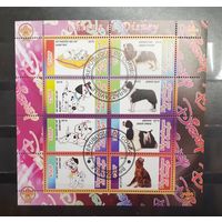 Конго. 2010 год. Фауна. Собаки (1317)