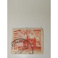 Польша 1966 Дубы Рогалинские