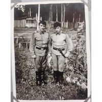 Фото в коллекцию