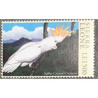 1994 Большой желтохохлый какаду Сьерра -Леоне