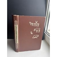 География животных курс зоогеографии 1961