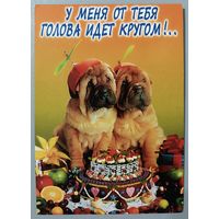 Собаки. Открытка 90-х