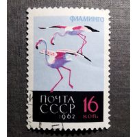 Марка СССР 1962 год Птицы