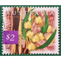 Австралия 1996. Флора. Blackwood Wattle